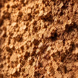 Cork Wall Panels