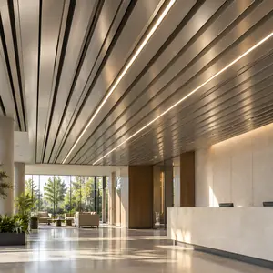 Metal Ceilings & Walls